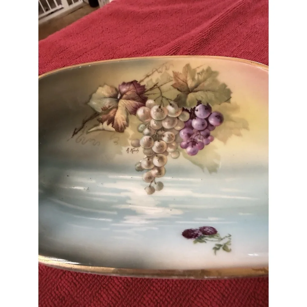 J&C Louise Bavaria Fruit Motif Gold Trim Porcelain Celery Dish 9.5